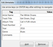 Entering metadata during export