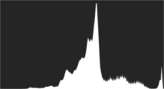 ETTR Histogram